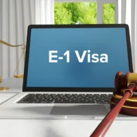 a-laptop-displays-e1-visa-on-its-screen